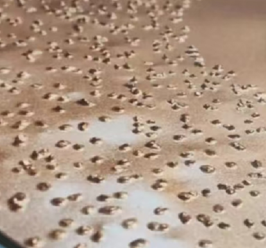 Brazing Grinding Disc for Cement Floors Polishing Pad 14" or 16" Inch