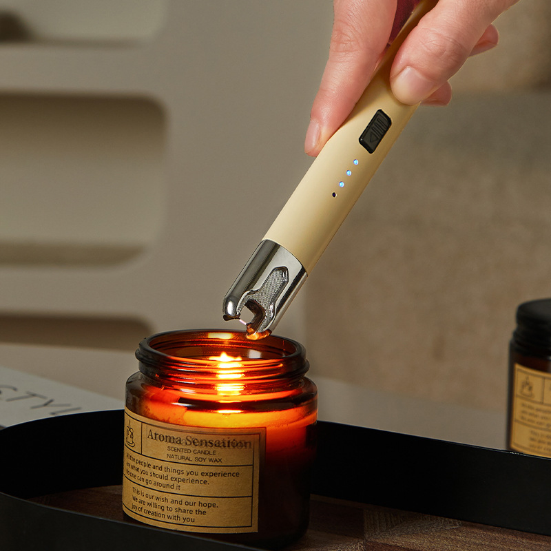 Environmentally Friendly Pulse Lighter USB Charging Windproof Lighter Torch