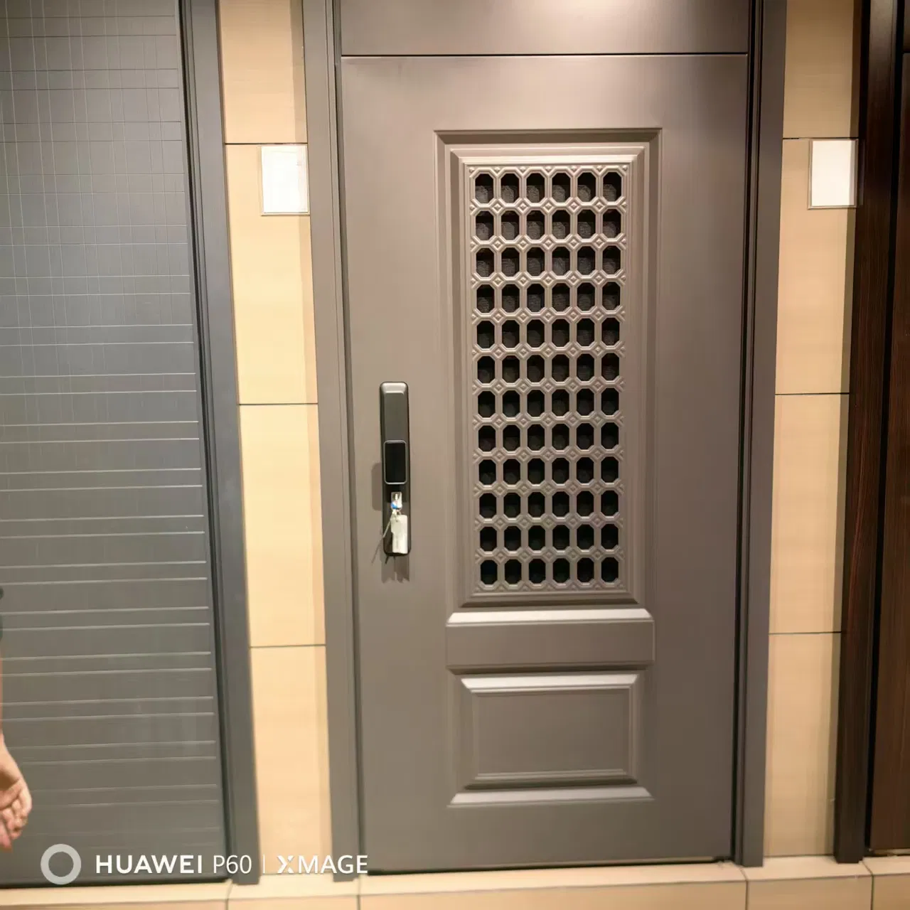 Exhibition Show China Factory Modern Steel Security Door Newest Design Exterior Door Security Door for House for Entry & Entrance