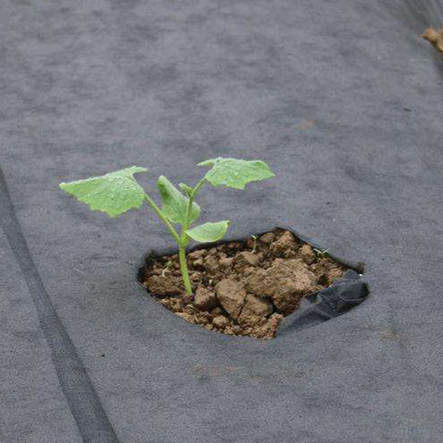 Dimensionally Stable Custom Spunbond Weed Mat