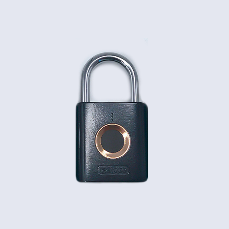 CE FCC Certificate Smart Fingerprint Padlock
