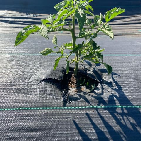 Agricultural UV Stabilized Woven Soil Erosion Weed Blocking Landscape Barrier