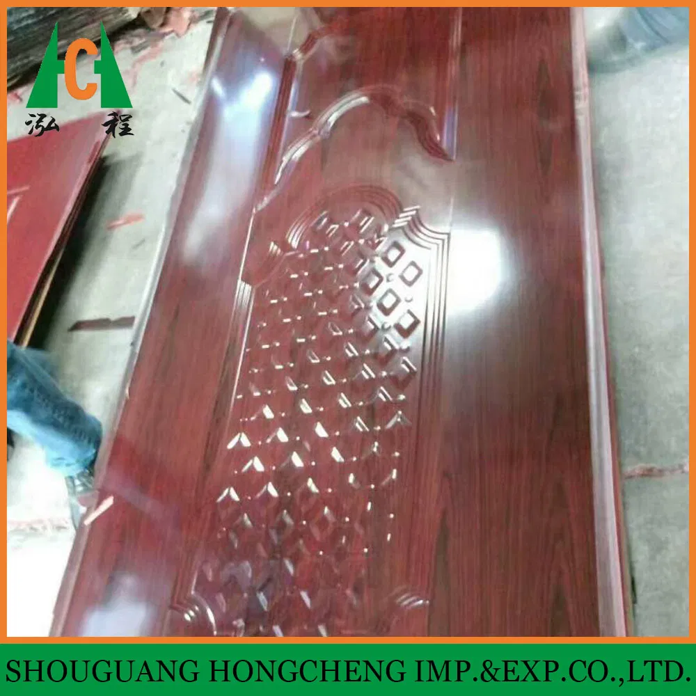 New Design Melamine Door Skin