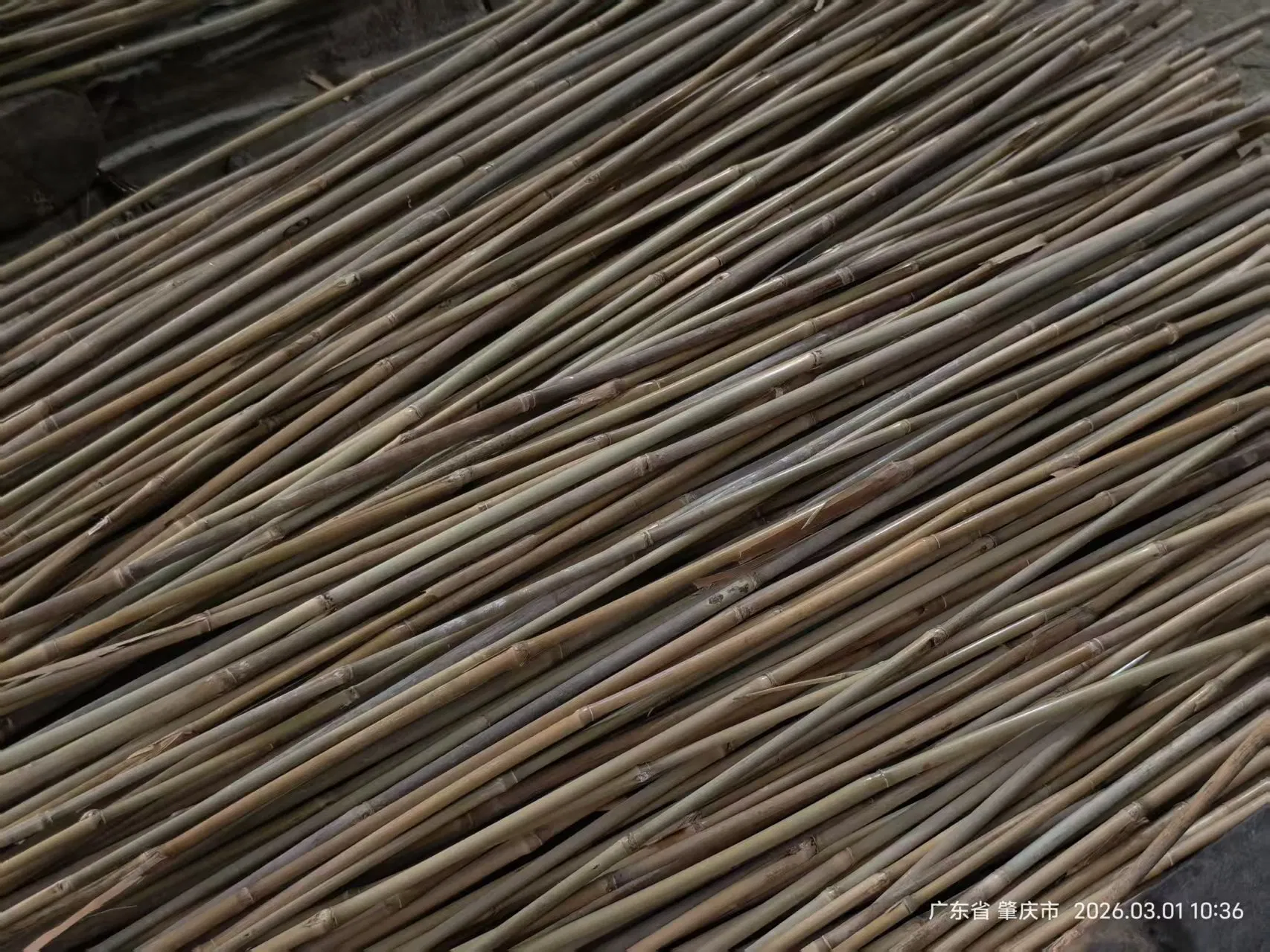 Tonkin Bamboo Pole Stake Stick Cane for Plant/Tree/Flower Support Bamboo U