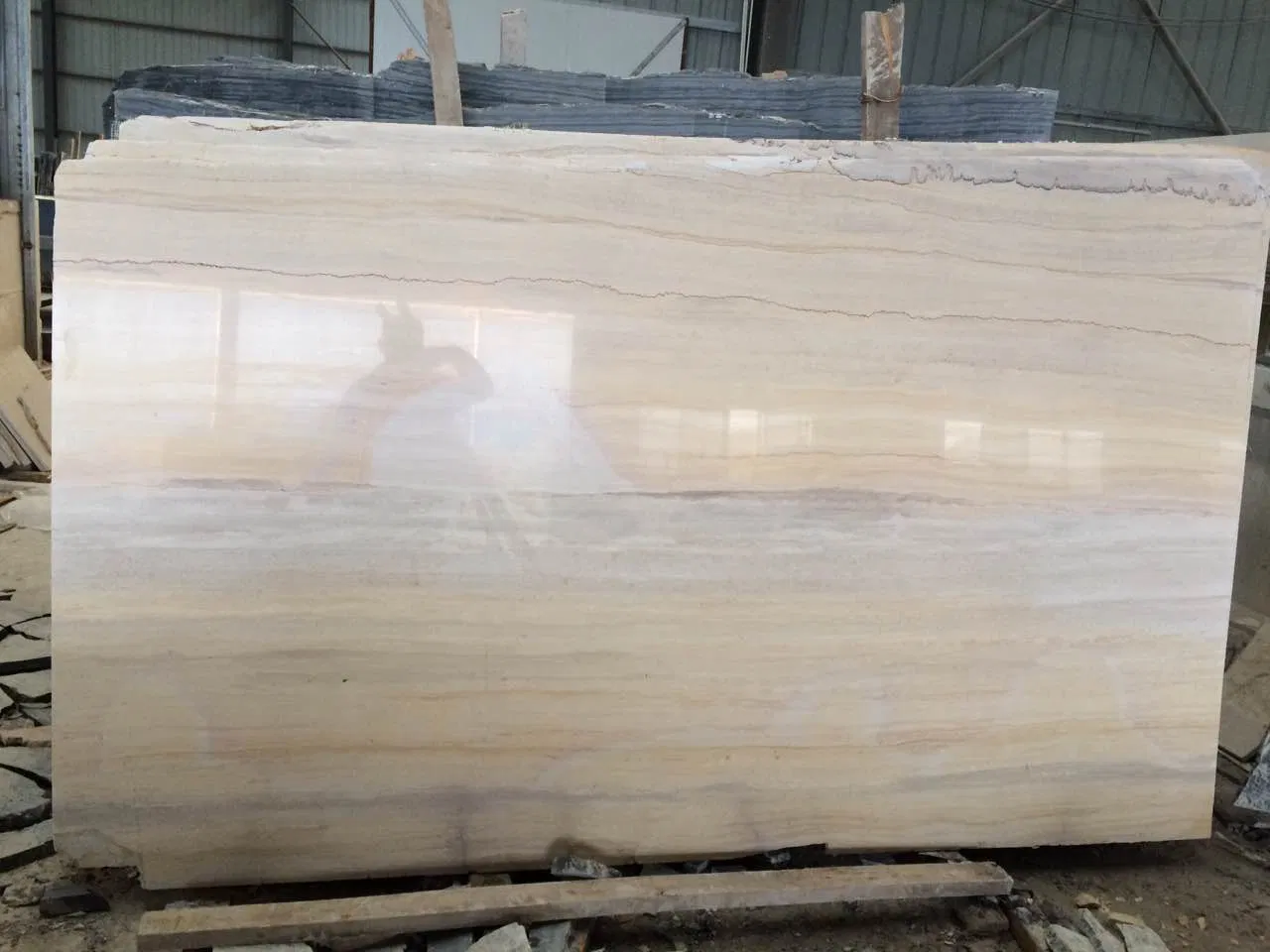 Popular Natural Ginkgo Wood Marble Slab and Tile for Hotel Wall Floor Decorate