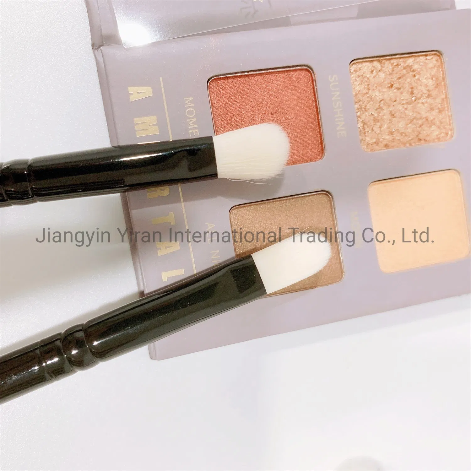 4PCS Simple Eye Makeup Brush Set for Starters Portable Brush Kit Including Eye Shadow Blending Eyebrow Lip Concealer Brushes Black Handle White Synthetic Hair