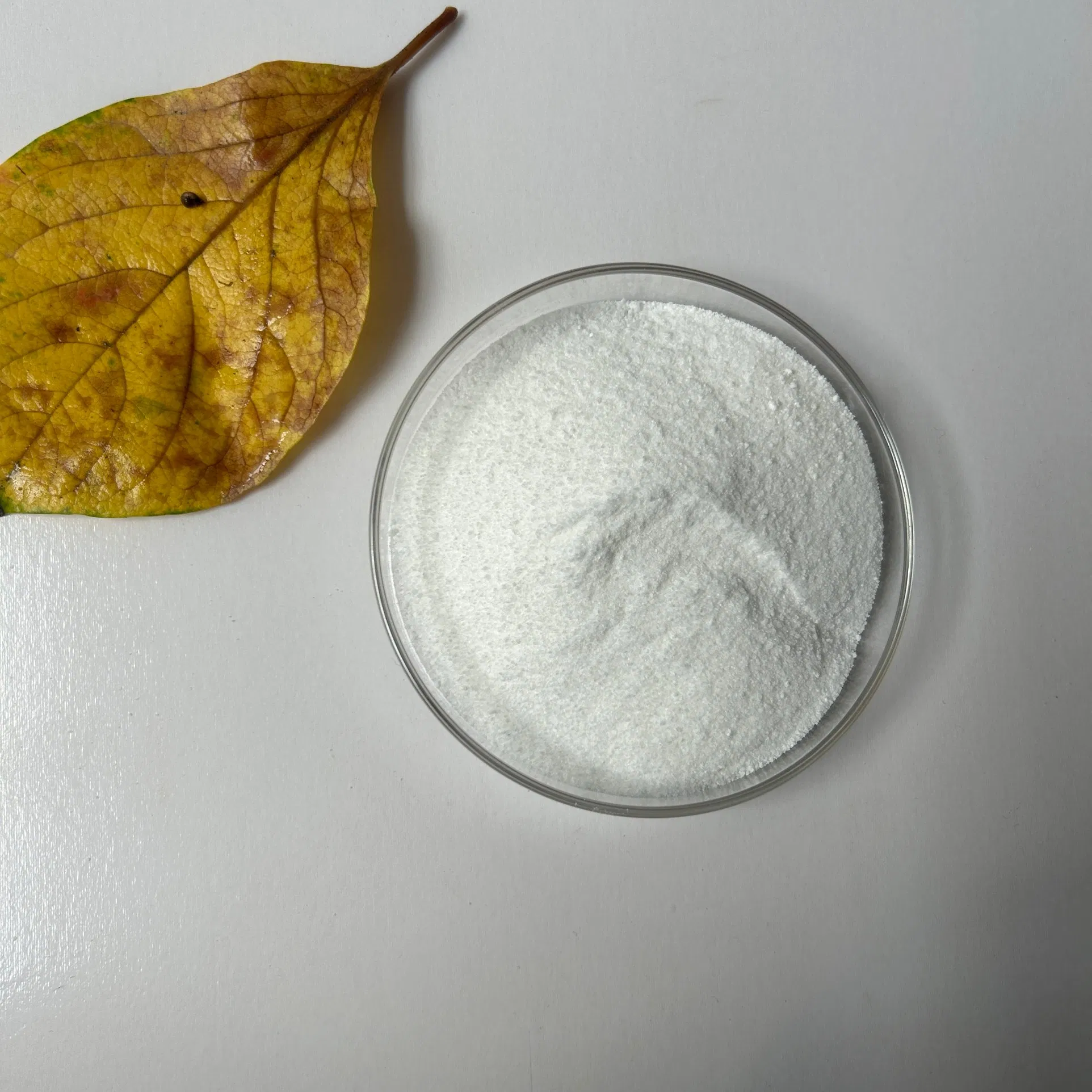 Factory Direct Sale Sodium Gluconate Powder CAS 527-07-1