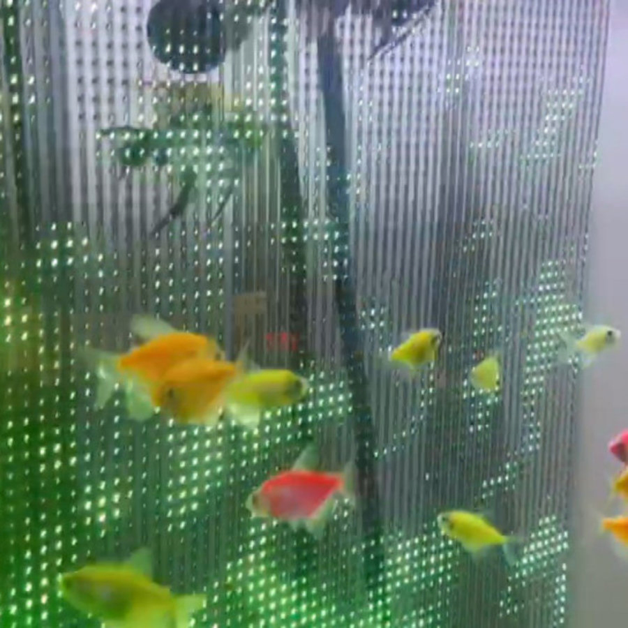 Гибкая прозрачная LED-пленка для подводного видеоэкрана