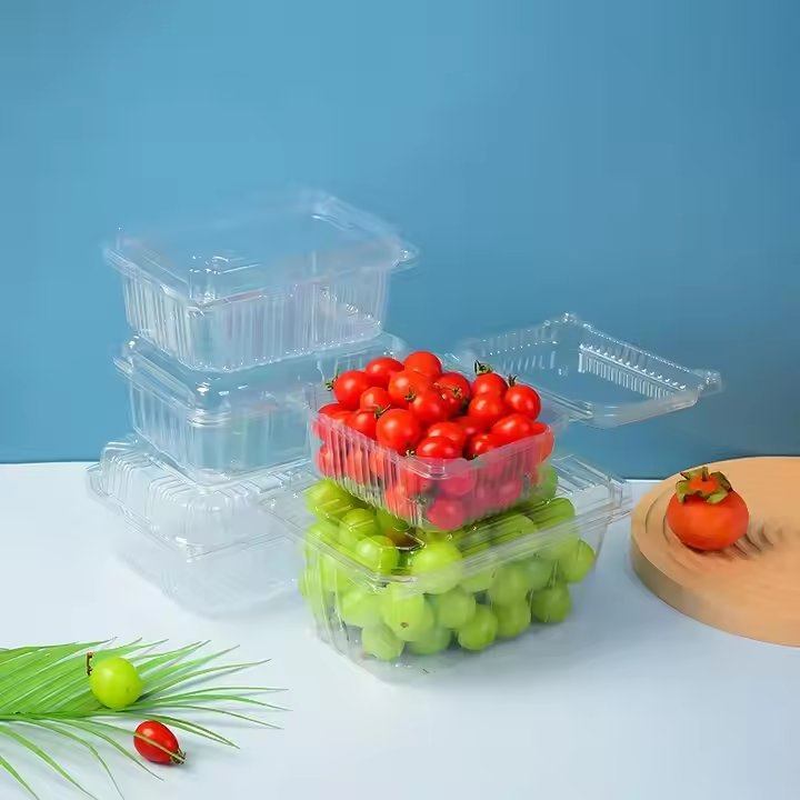 Plastic Plant Pot Suppliers Compostable Per Sushi Box Logo Seaweed Disposable Takeaway