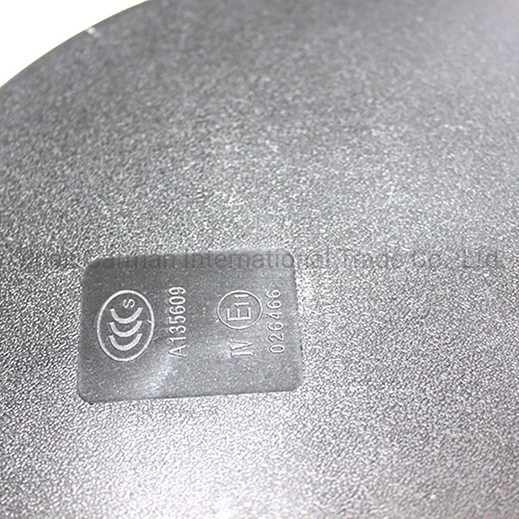 Down Mirror Assembly for Sinotruk HOWO A7 T7H Cab