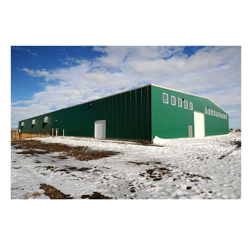 Steel Structure Single Slope Metal Building