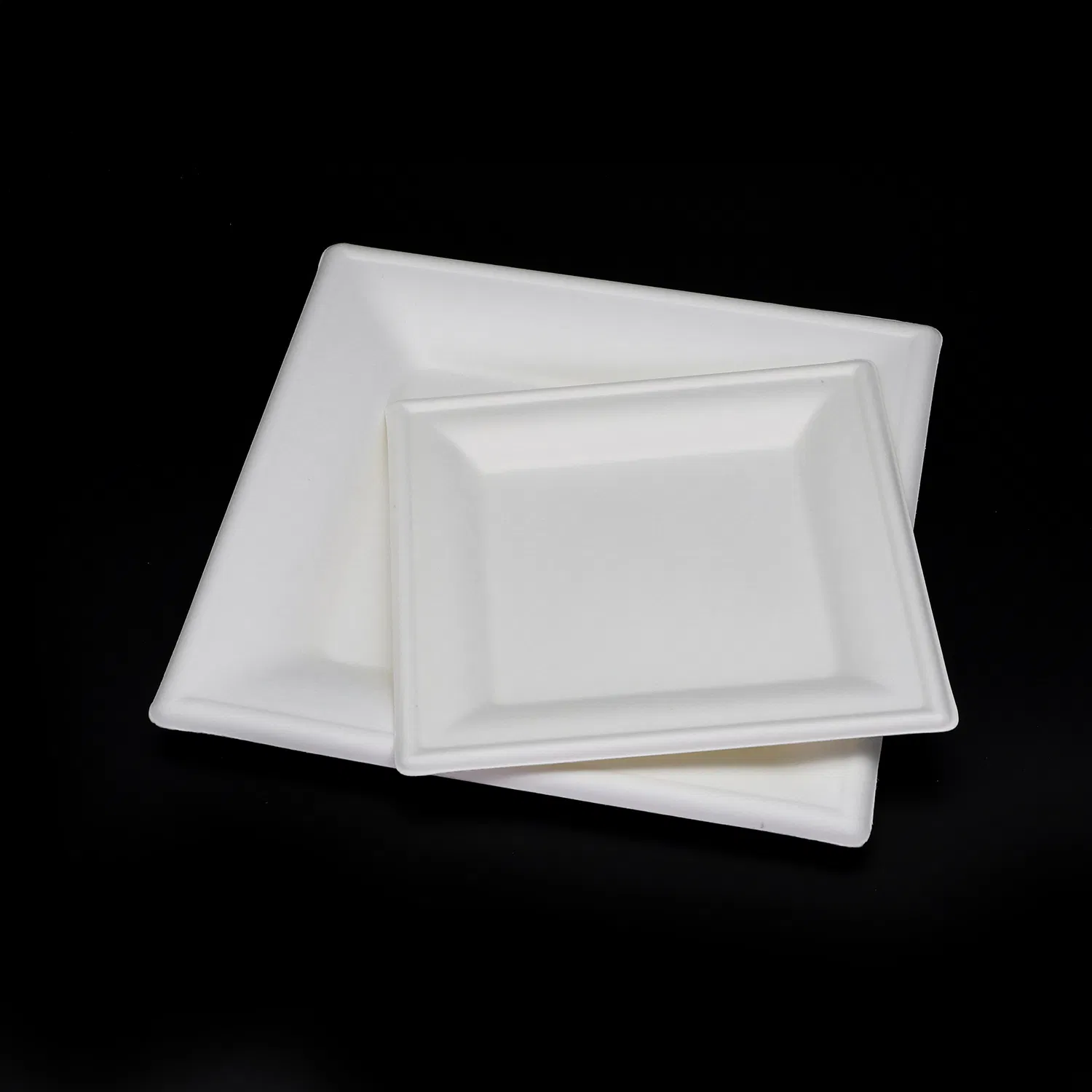 Disposable Manufacturally Customized White Sugarcane Bagasse Pulp Paper Square Plate for Delicious Cooking