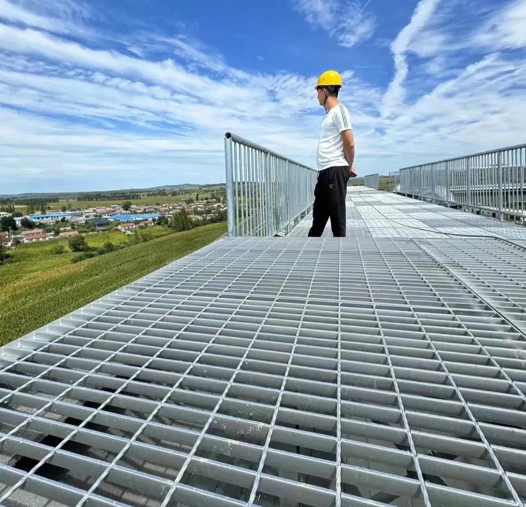 Building Material Galvanized Steel Bar Grating for Trench Cover Drainage Grating