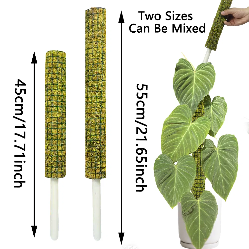 Moisture-Locking Stackable Green Moss Pole for Climbing Growth Monstera & Pothos Aerial Roots