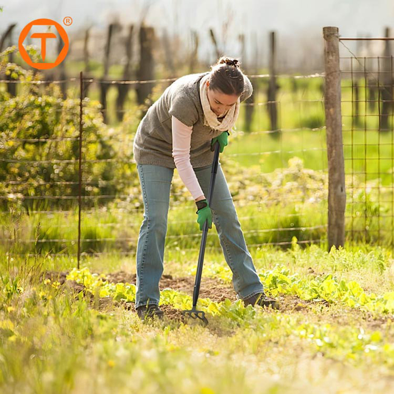 Heavy Duty Agricultural Tool Long Handle Scuffle Loop Hula Action Stirrup Garden Hoe Weeding Rake
