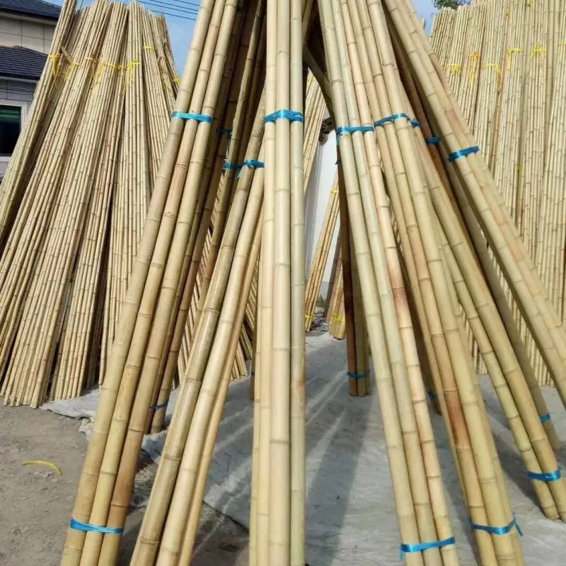 Large Bamboo Poles for Gardening - Natural Thick Stakes, Heavy Duty & Professional