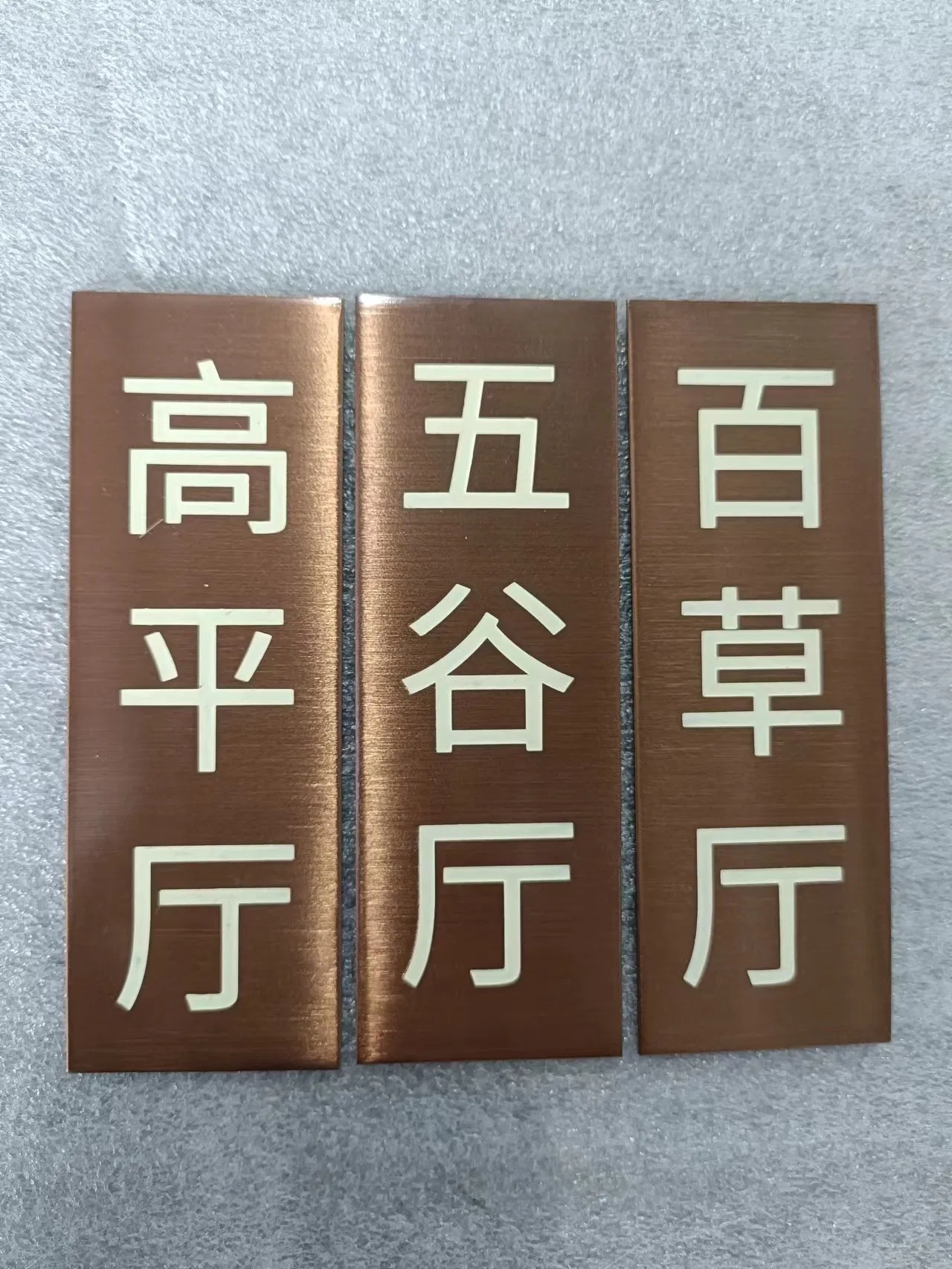 Indoor Stainless Steel Panel Etched Reception Sign with Paint