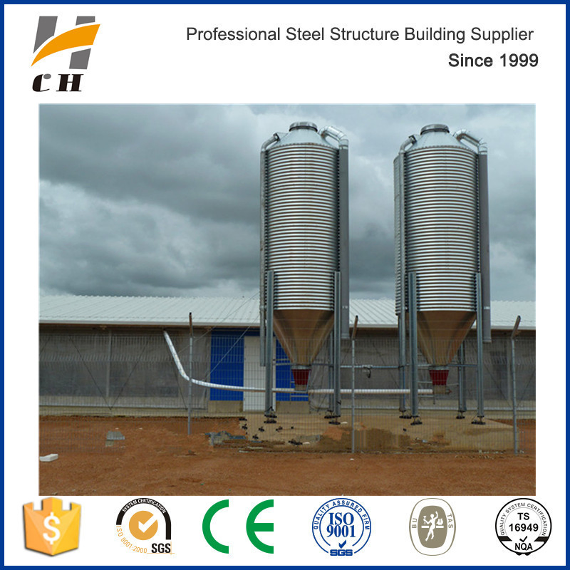 Light Shed Steel Roof Layer Chicken House Design