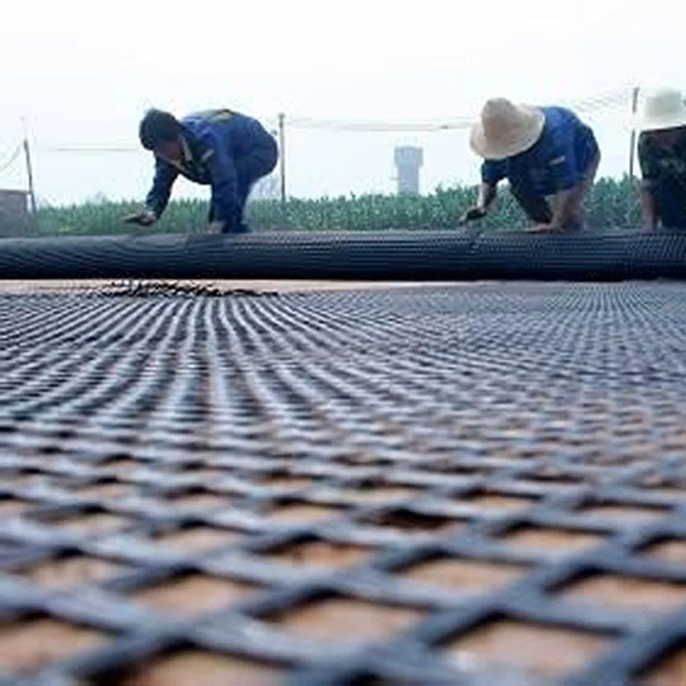Long Lifespan PP Composite Plastic Expandable Foldable Geogrid for Railway