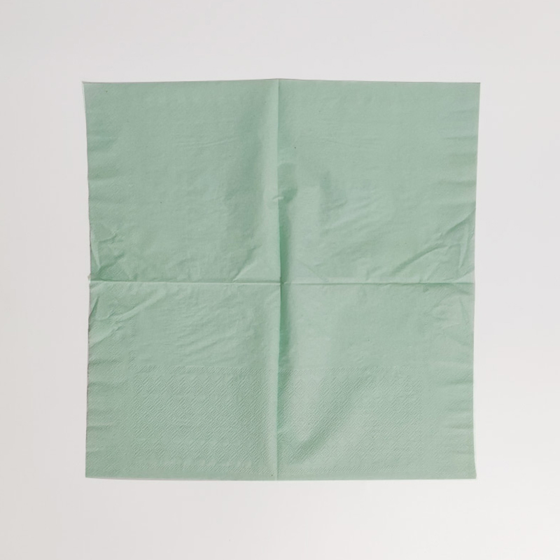 Disposable Sage Green Paper Napkins in Bulk at Cheap Wholesale Price