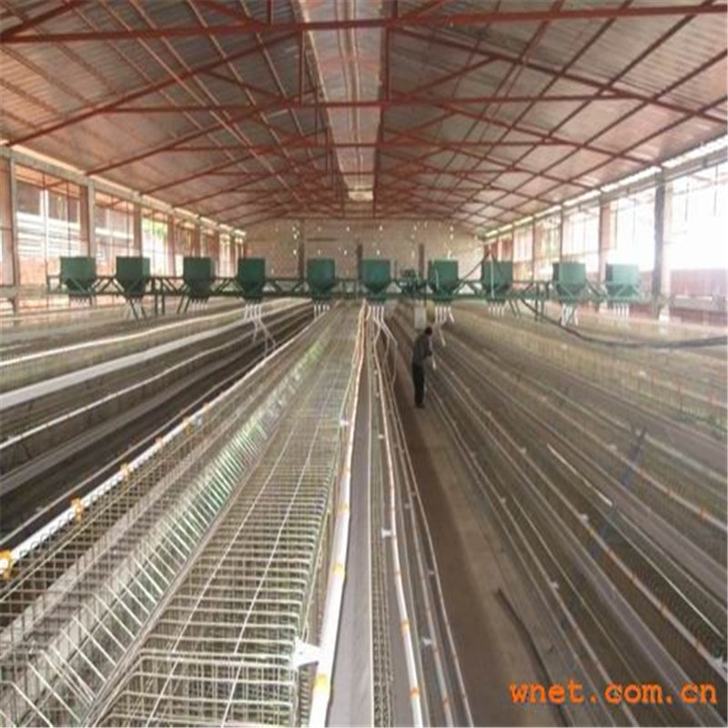 Easy Assemble Light Poultry House Steel Structure with Good Quality