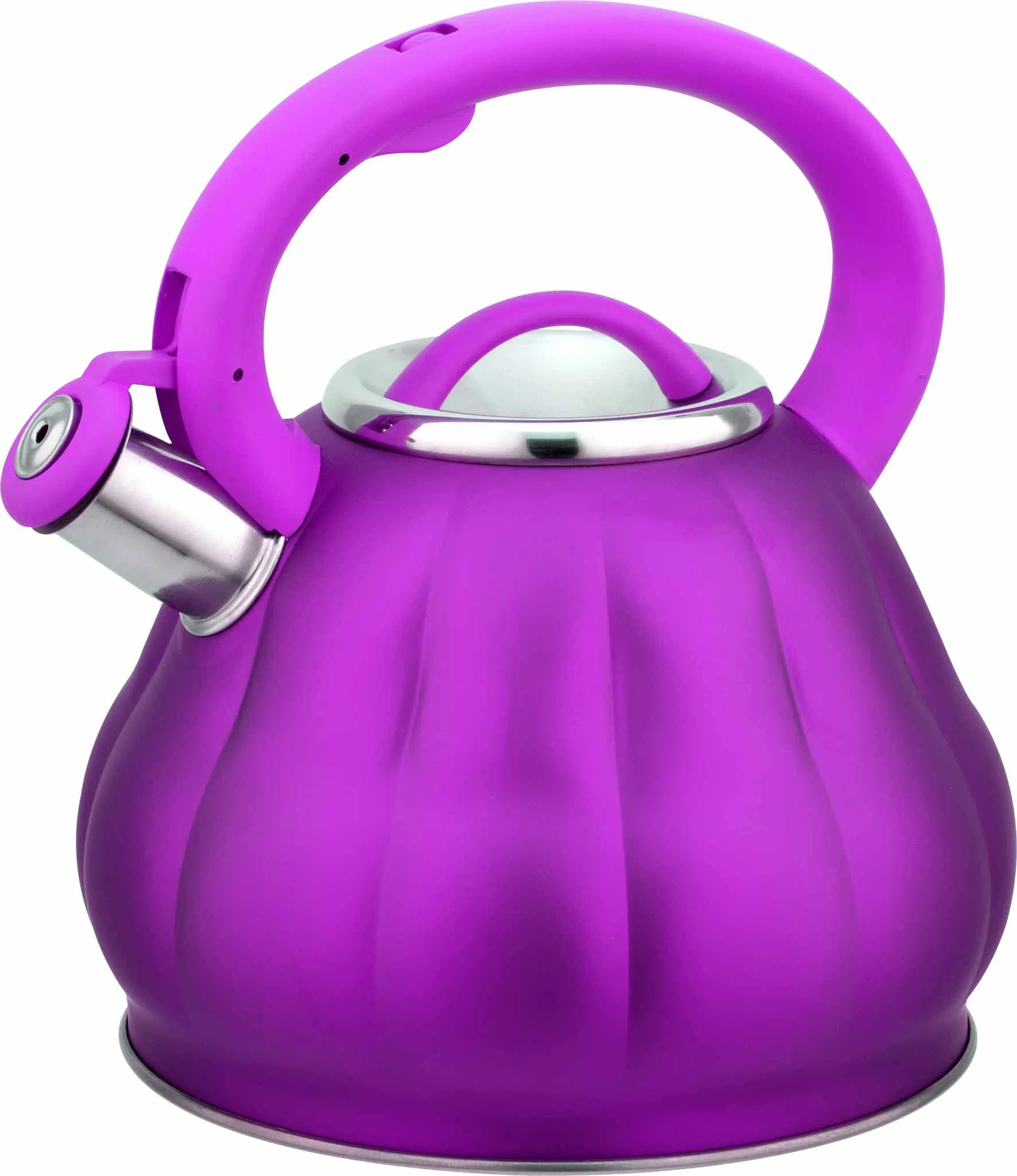 New Model Good Sell Stainless Steel Colorful Whistling Kettle