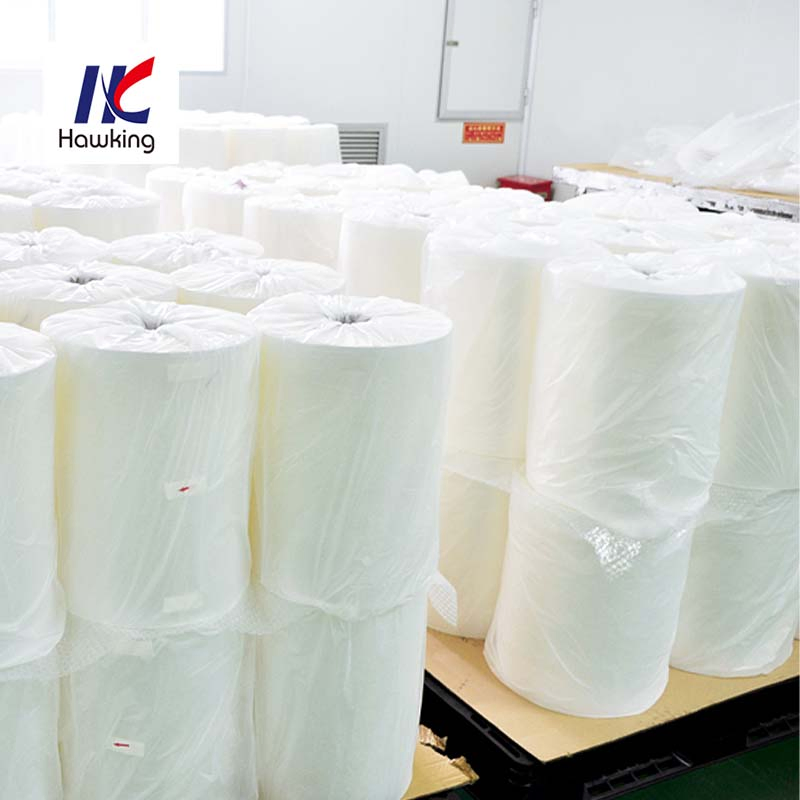 High-Quality PE/PA Coextruded Plastic Film for Sausage Packaging