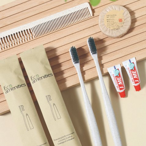 Eco-Friendly Travel Dental Kit Disposable Hotel Toothbrush Set