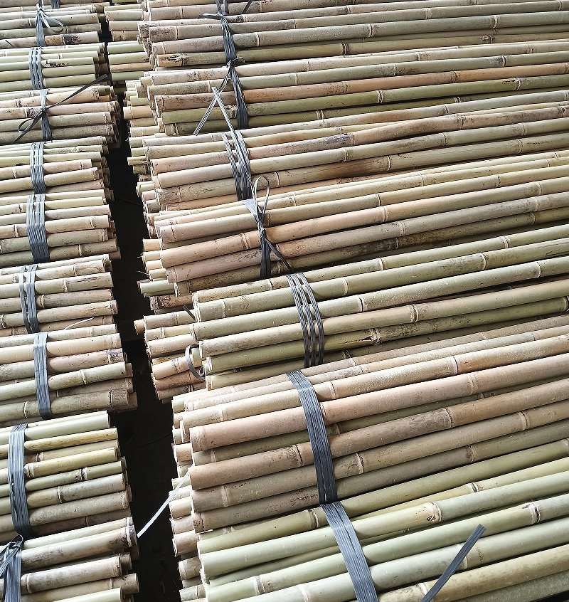 Best Bamboo Pole Supplier for DIY Projects