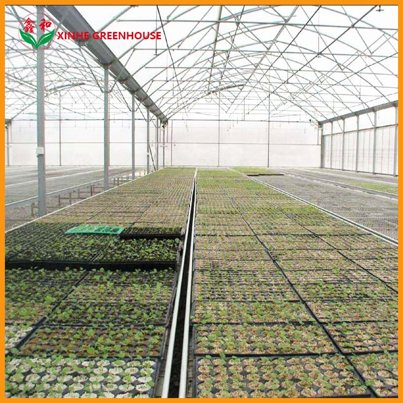 Farm Multi Span Garden Warm Agro Arch Type Vegetables Greenhouse for Agriculture