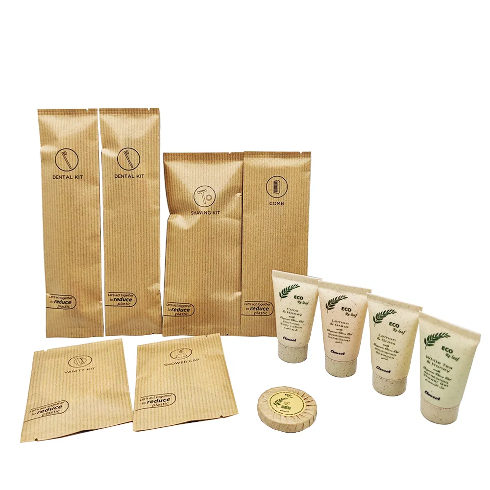 Custom Disposable Tooth Brush Supplies Set Hotel Amenity Toiletries