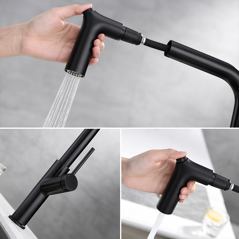 Tiema Luxury Black Water Brass Pull out Sink Kitchen Taps