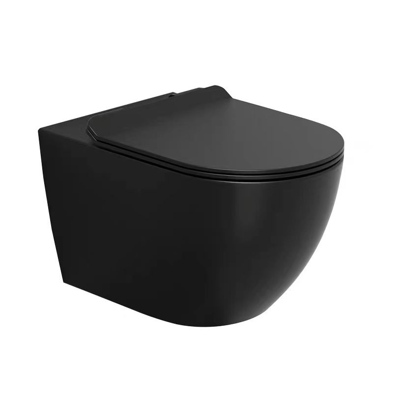 Matte Black Rimless Wall Mounted Toilet