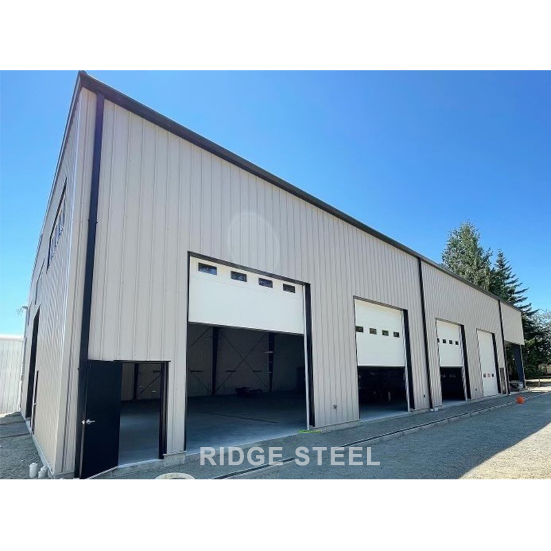 Cheapest Economical Steel Structure Car Garage Shed