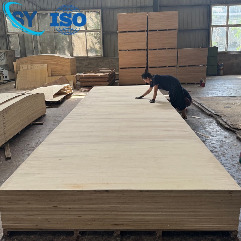 High Quality 2m*6m 2000*6000mm Building Templates Film Faced Plywood Poplar Birch Core for Concrete Pouring
