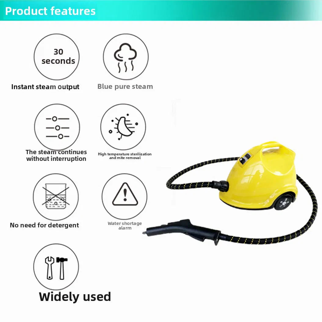 3.5bar Portable Steam Cleaner Handheld Steam Cleaning Machine with Water Tank