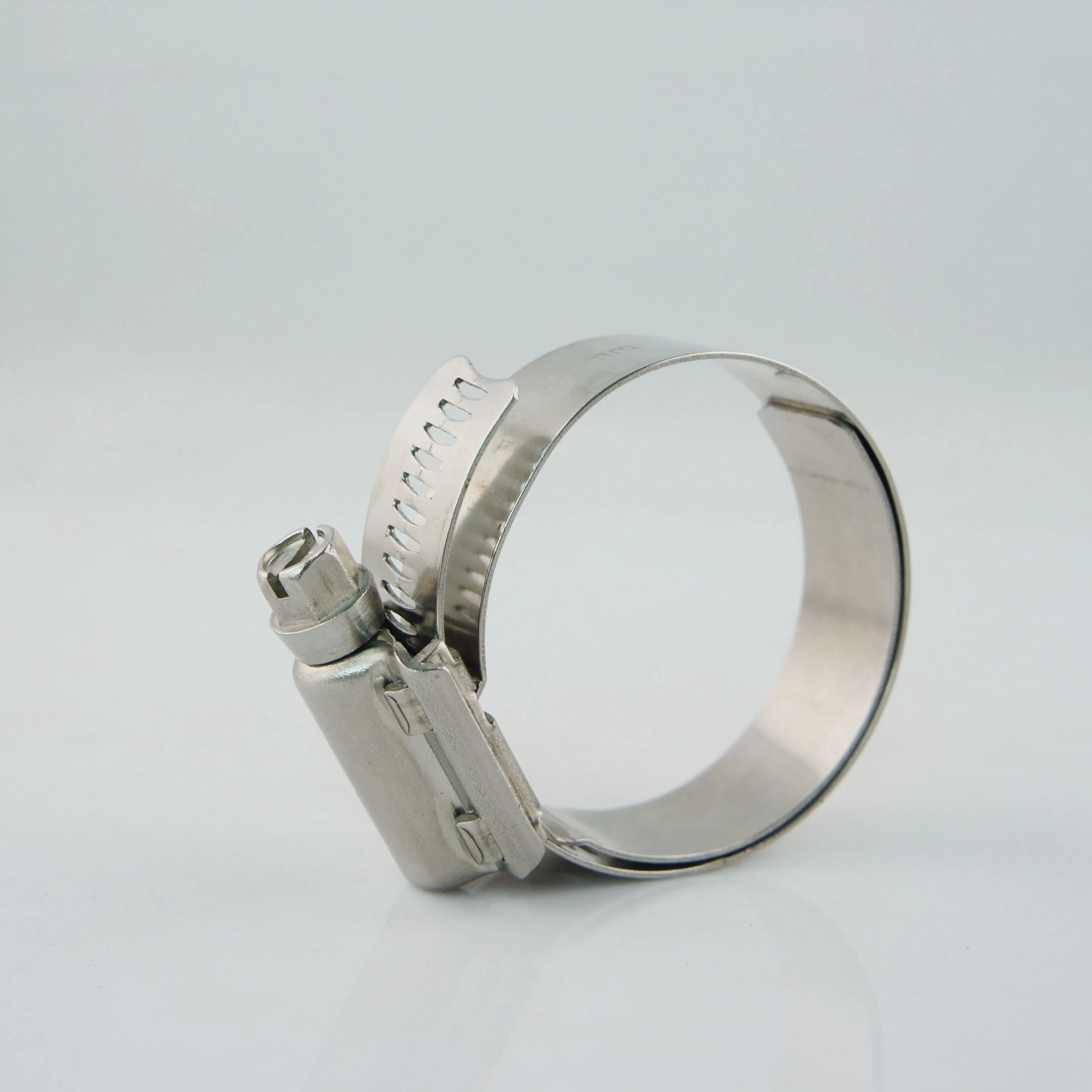 China Good Manufacturer Common Type Hose Clamp
