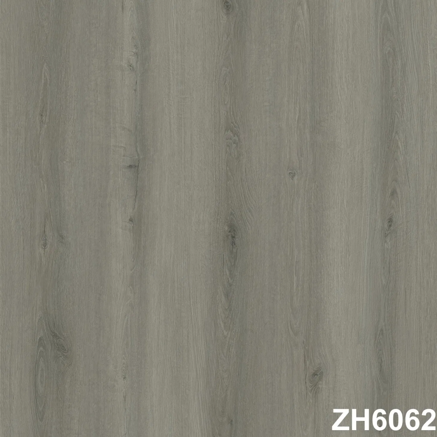 Pet Friendly Interlocking Laminate for Entryway with Rustic Design