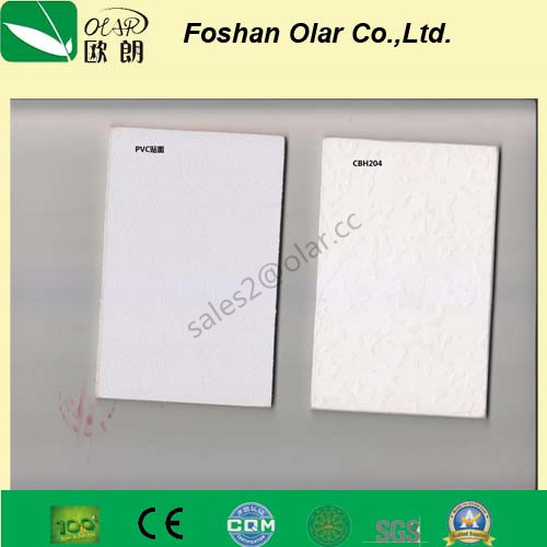Light Weight Sound-Absorbing/ Accoustic Ceiling Board