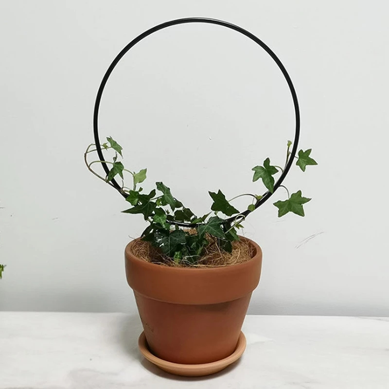 Garden Trellis Climbing Plant Support Stake Circle Round Shape Stand Frame Vine Rack for Mini Indoor Plants Flowers Vegetables