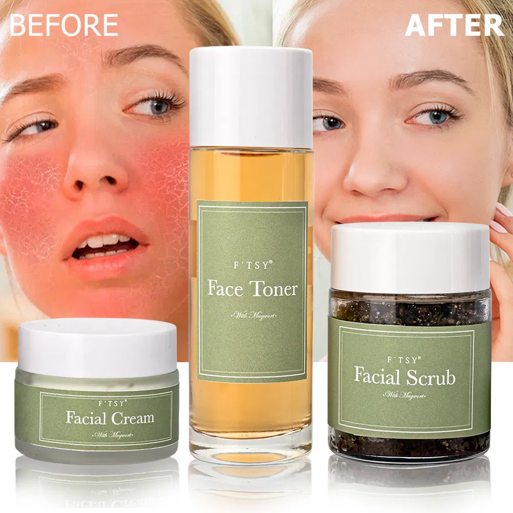 Hot Sell Mugwort 3-Piece Set Anti Aging Skin Care Set