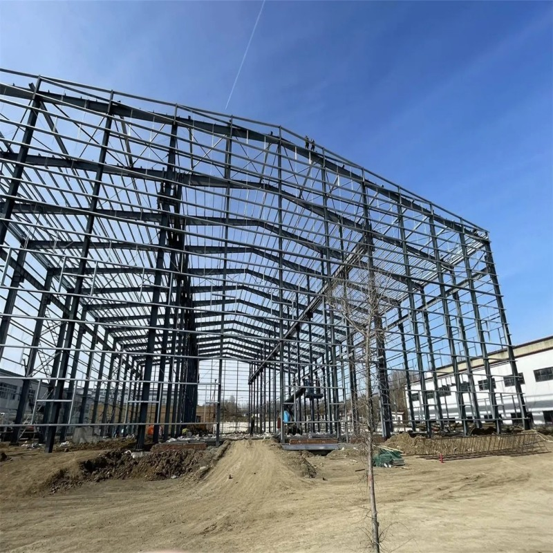 Modern Design Fast Built Construction Steel Building Pig House Cattle Shed Poultry Farm