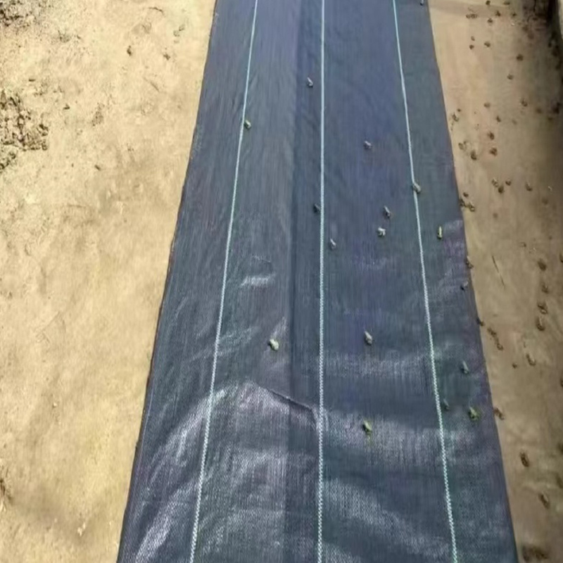 Custom-Size Anti-Grass PE Ground Cover Mesh Weed Mat for Garden Use