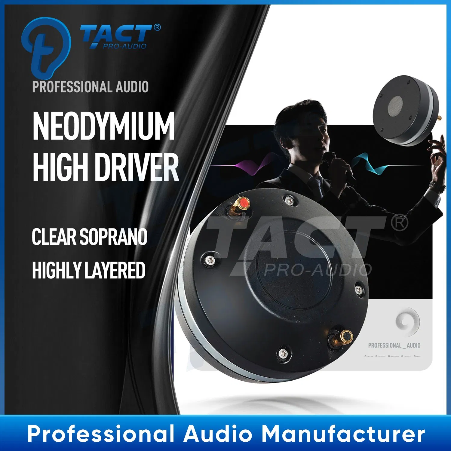 Professional Audio K2 Double 12 Inch Line Array Speakers