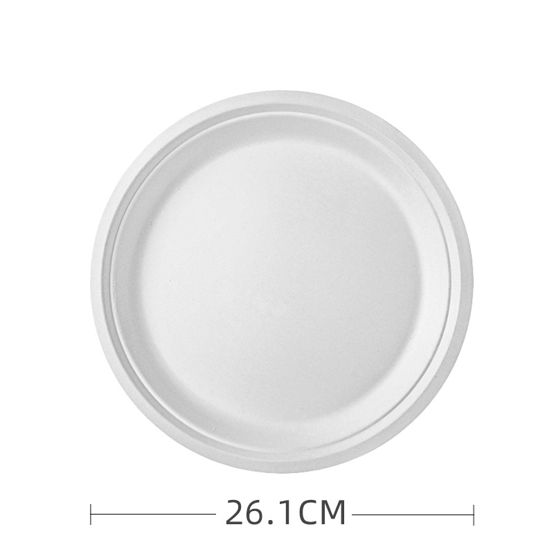 Hot Sale Disposable Sugarcane Pulp Bagasse Paper Plates