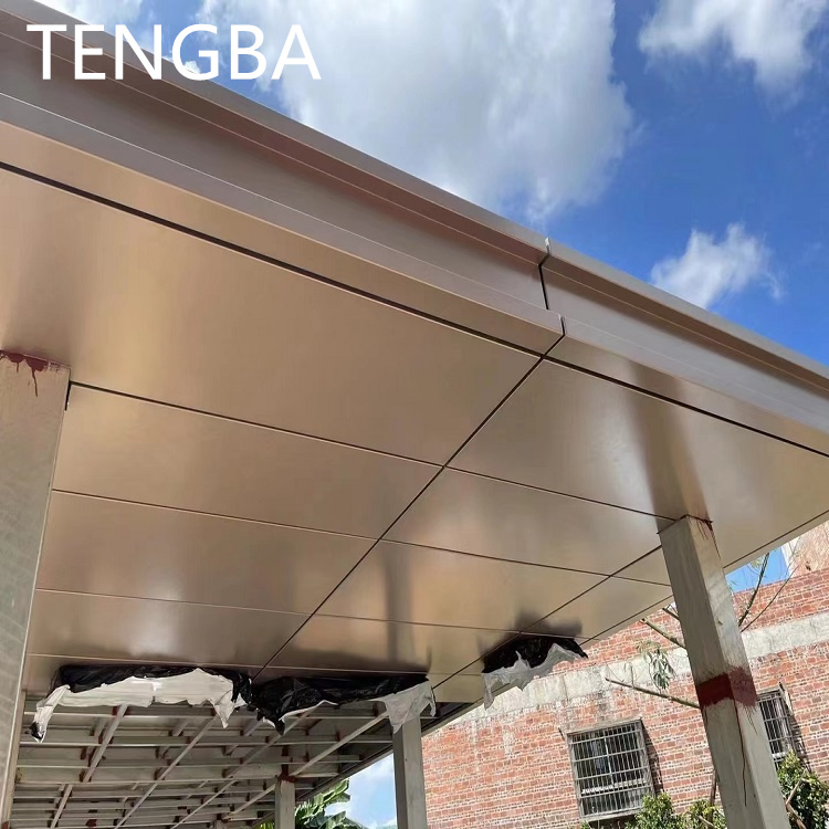 Custom PVDF Coating/Wood Grain Aluminum Veneer Ceiling
