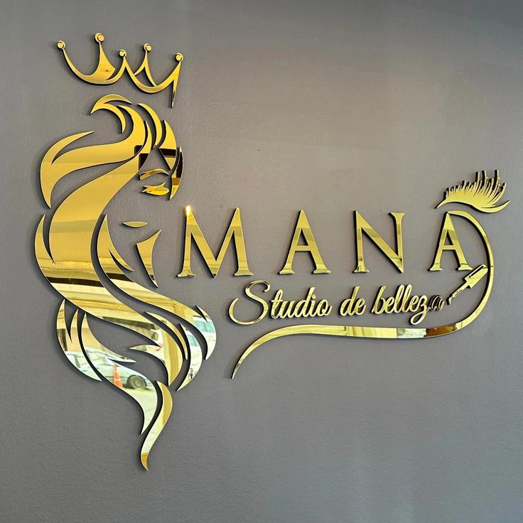 Illuminated Metal Business Logo Sign with Custom Acrylic Lettering