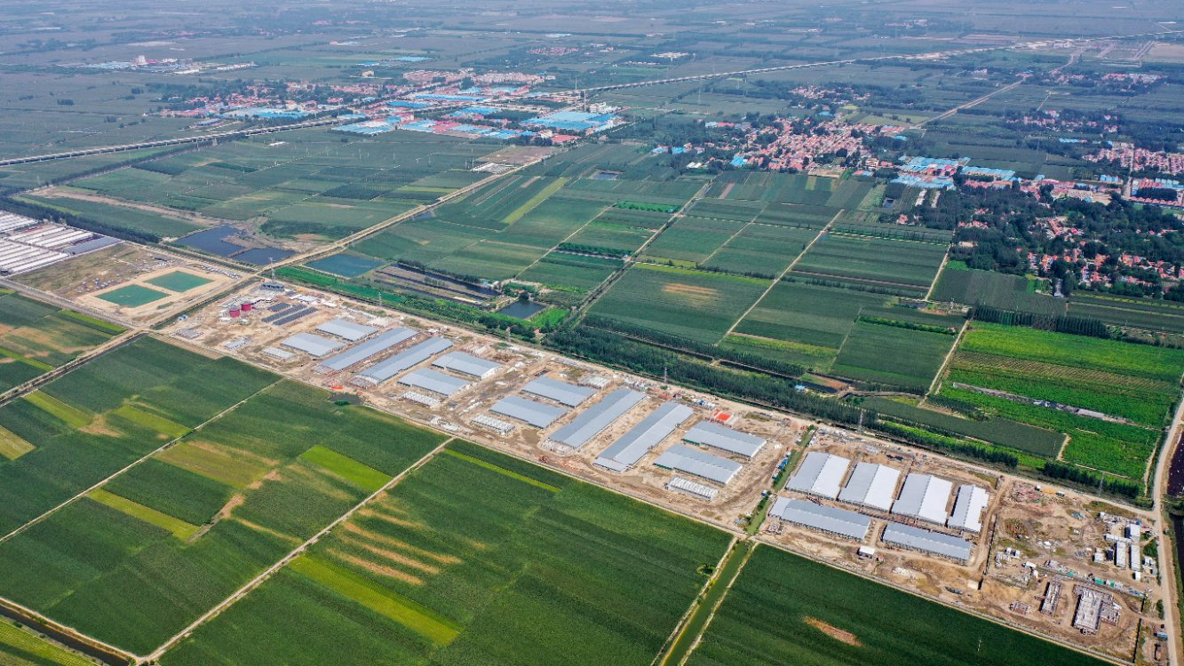 Professional Steel Prefab Storage Warehouse Workshop Shed Steel Structure Shopping Mall