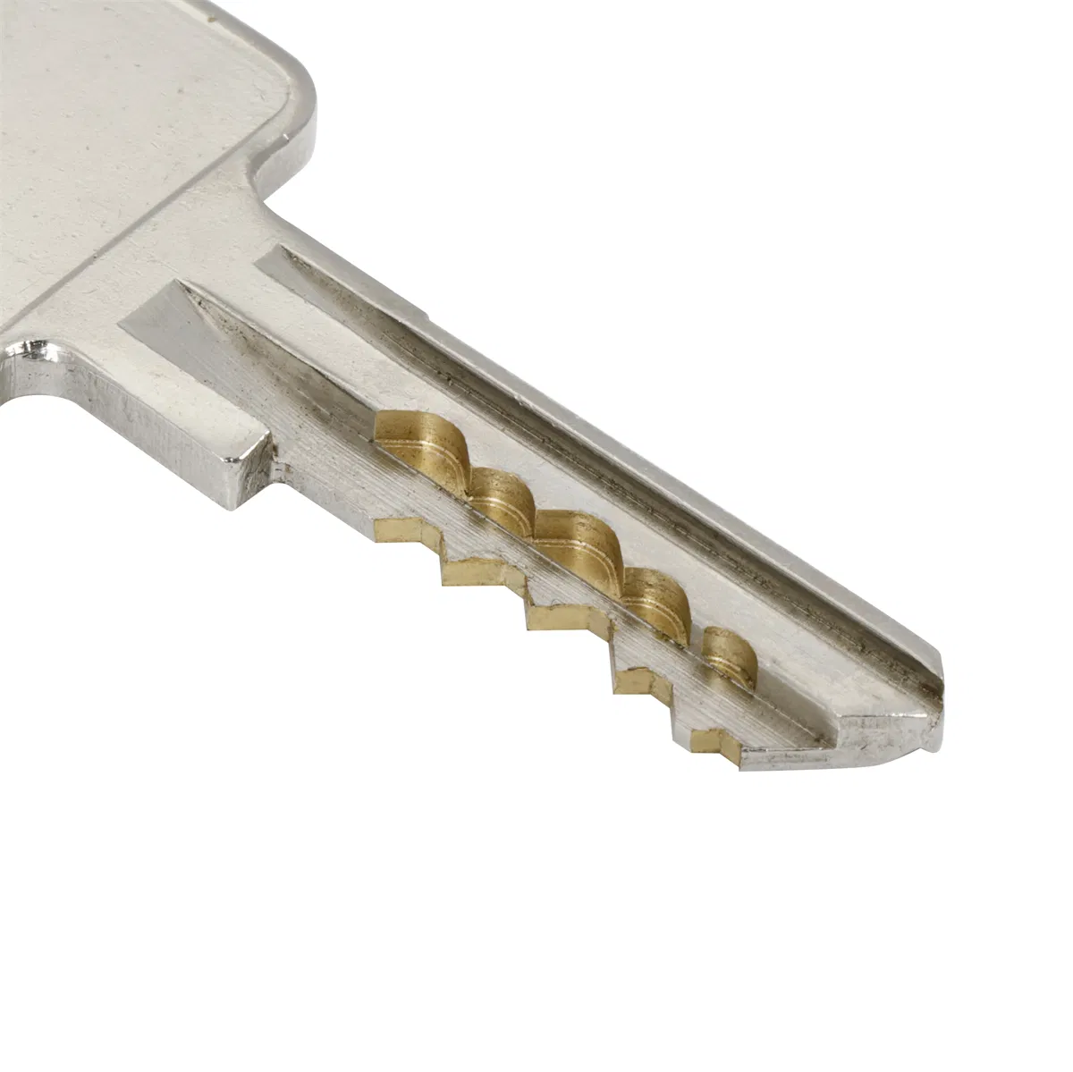 En1303 High Security Euro Profile Brass Door Lock Cylinder with F Keyway (GMB-CY-24)