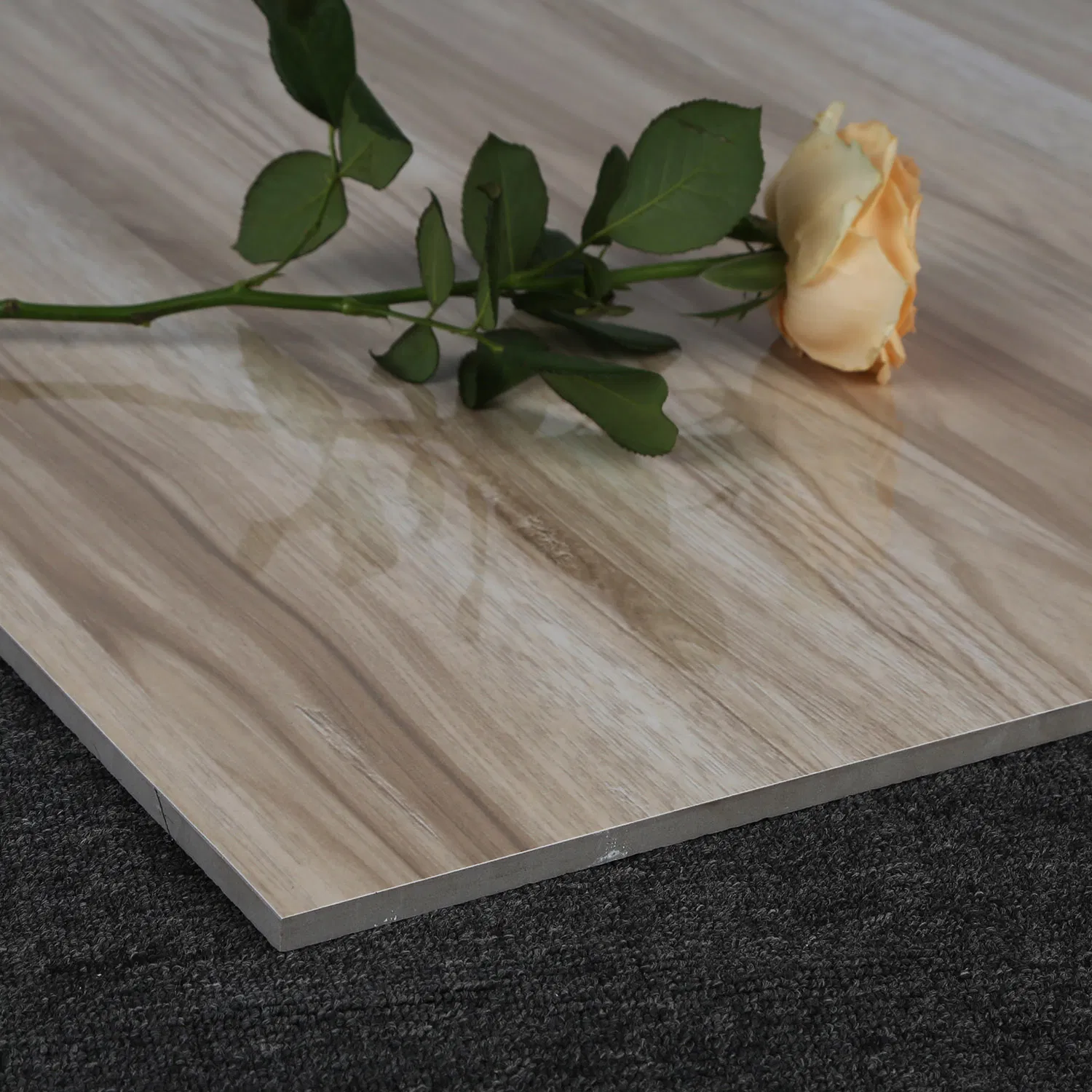 600X600mm Kajaria Modern Style Glazed Matt Porcelain Rustic Floor Tile